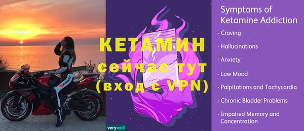 индика Елизово